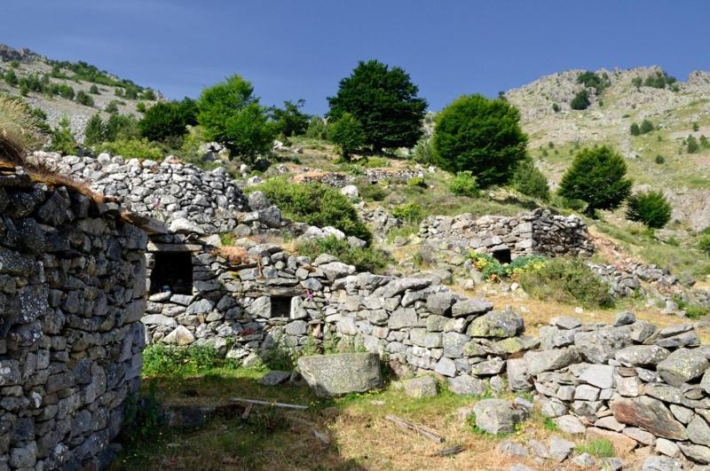 A.Casetta Santo-Pietro-di-Venaco Exteriör bild
